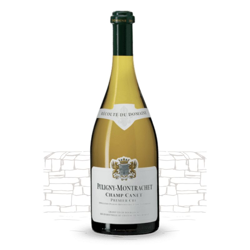 (EXCEPTION!) AOP Puligny Montrachet 1er cru Champ Canet 2022