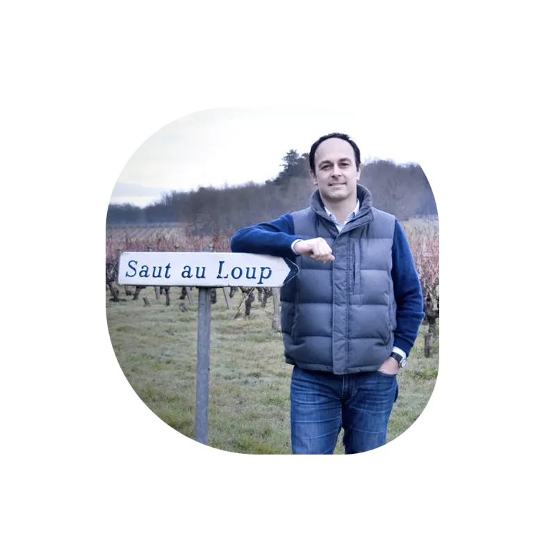 AOP Chinon rouge le petit chemin 2023 Domaine du Saut au Loup