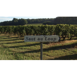 AOP Chinon rouge le petit chemin 2023 Domaine du Saut au Loup