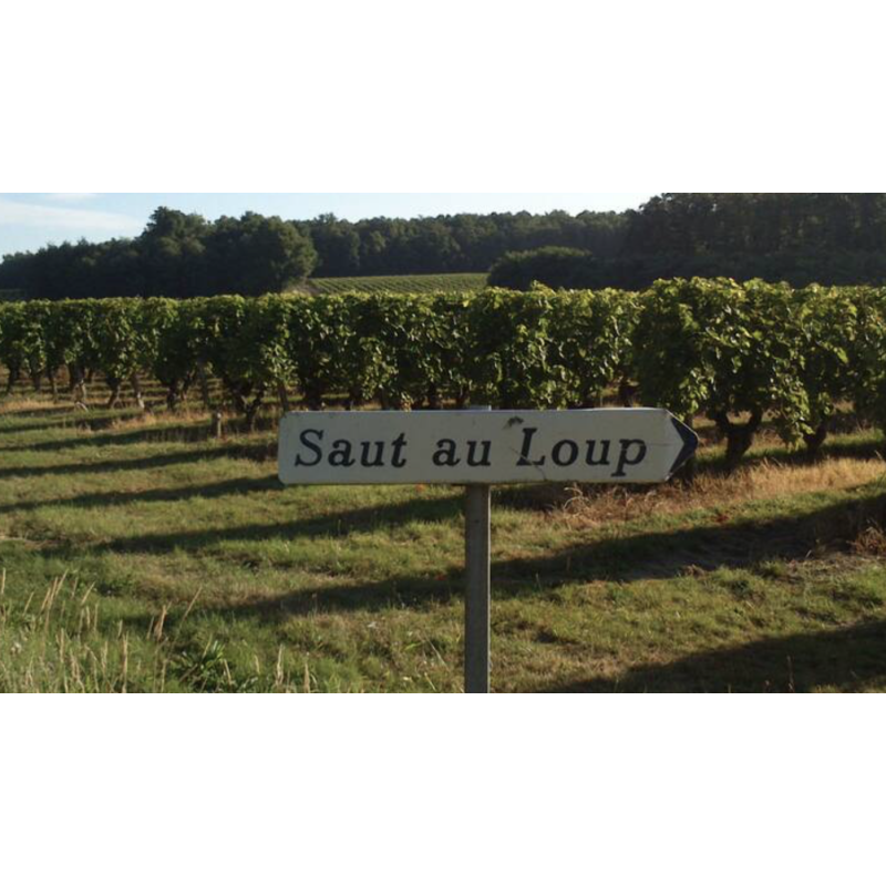 AOP Chinon rouge le petit chemin 2023 Domaine du Saut au Loup