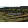 AOP Chinon rouge le petit chemin 2023 Domaine du Saut au Loup