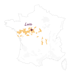 AOP Vouvray sec blanc 2023 Clos des Aumônes