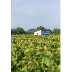 AOP Vouvray sec blanc 2023 Clos des Aumônes