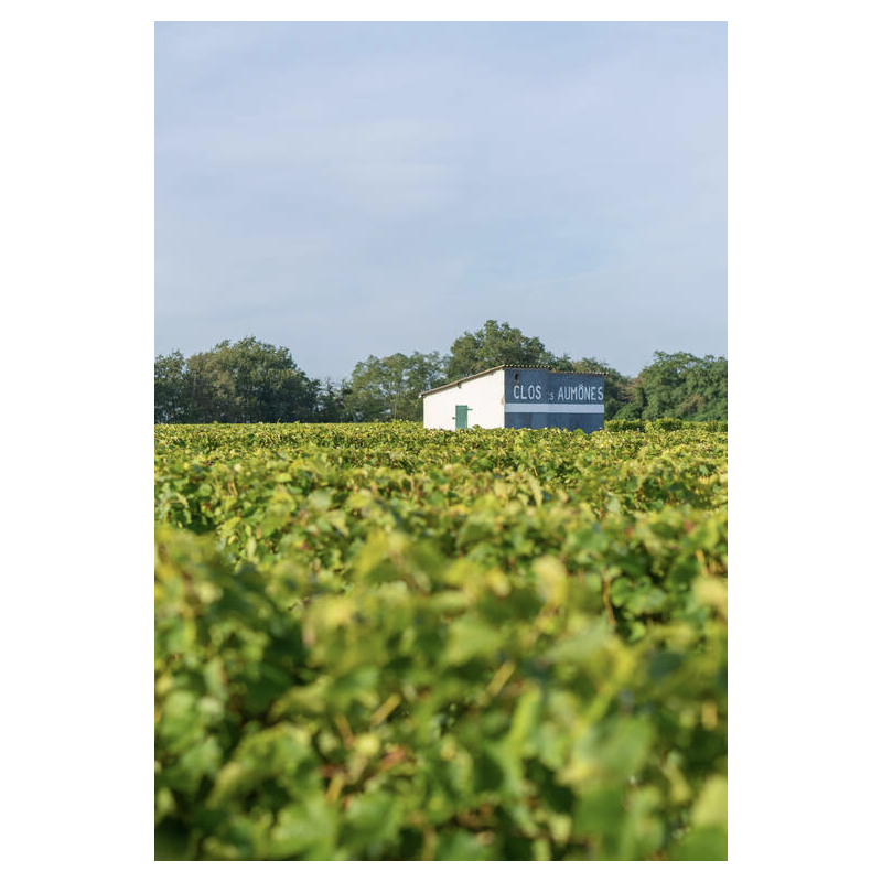 AOP Vouvray sec blanc 2023 Clos des Aumônes
