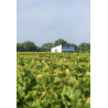 AOP Vouvray sec blanc 2023 Clos des Aumônes