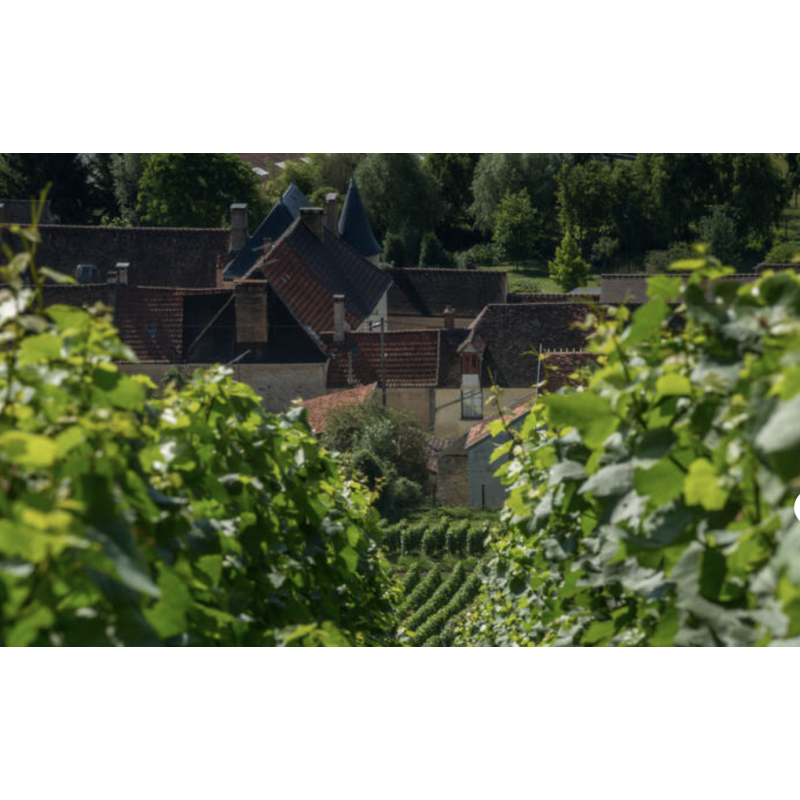 AOP Champagne Olivier Marteaux Brut Réserve
