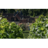 AOP Champagne Olivier Marteaux Brut Réserve