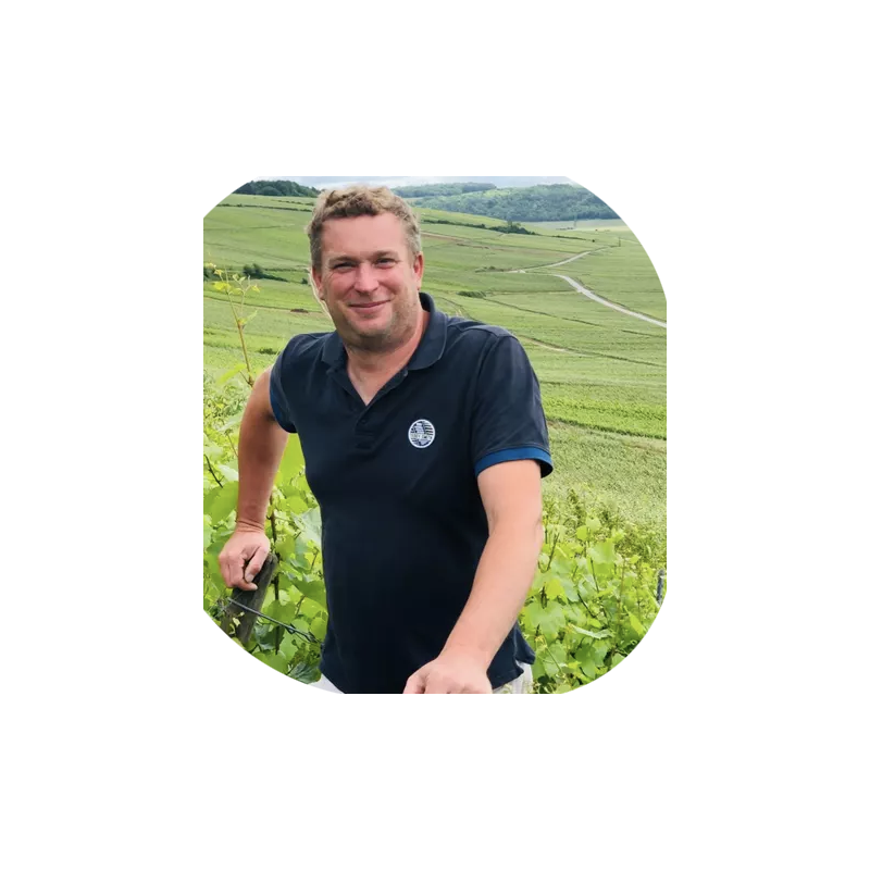 AOP Champagne Olivier Marteaux Brut Réserve
