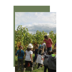 AOP Bergerac Fruit d'une vigneronne 2022 Domaine de Perreau