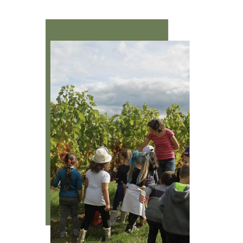 AOP Bergerac Fruit d'une vigneronne 2022 Domaine de Perreau