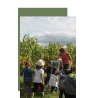 AOP Bergerac Fruit d'une vigneronne 2022 Domaine de Perreau
