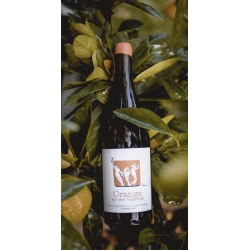 VIn Orange 2023 Chateau de Cranne