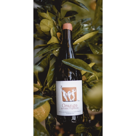 VIn Orange 2023 Chateau de Cranne