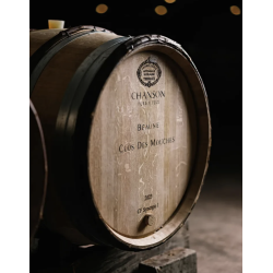 AOP Charmes Chambertin grand cru 2017 - Domaine Chanson