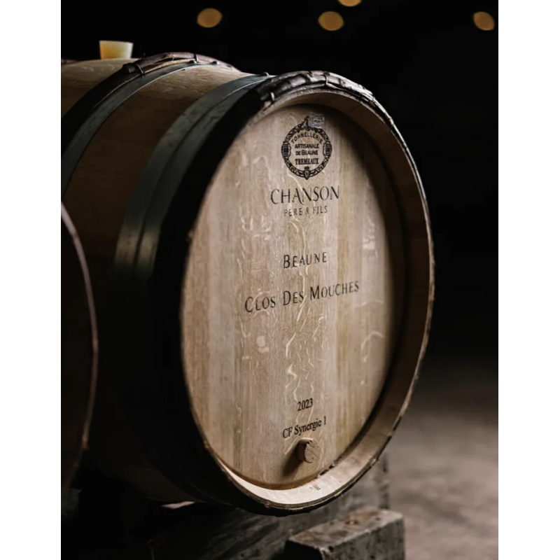 AOP Charmes Chambertin grand cru 2017 - Domaine Chanson