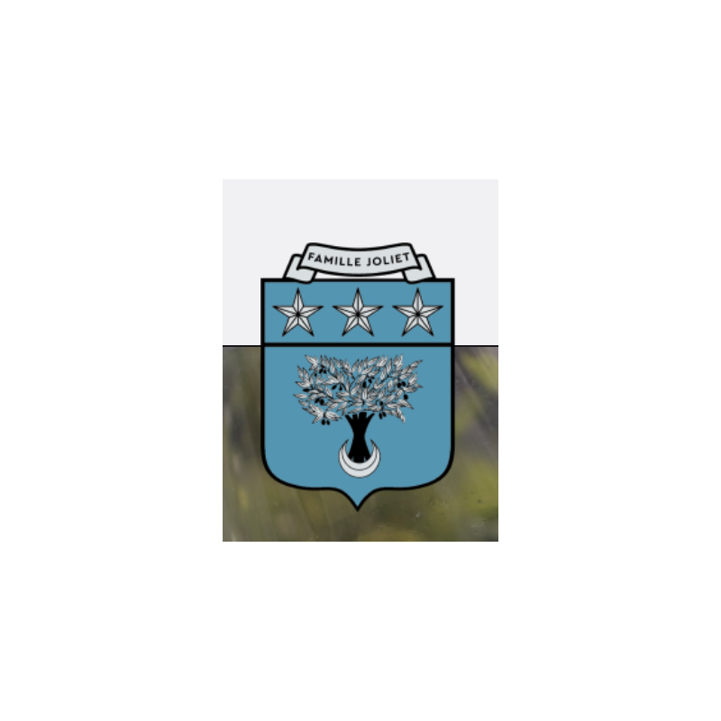 AOP Fixin rouge Filiae 2023 Domaine Joliet