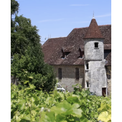 AOP Fixin rouge Filiae 2023 Domaine Joliet