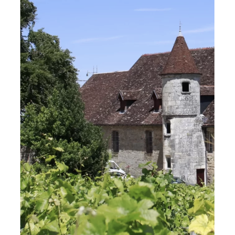 AOP Fixin rouge Filiae 2023 Domaine Joliet