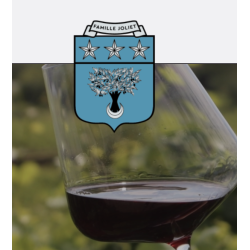 AOP Fixin blanc Filiae 2023 Domaine Joliet