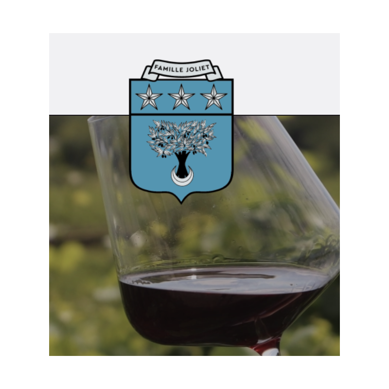 AOP Fixin blanc Filiae 2023 Domaine Joliet