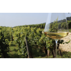 AOP Bourgogne Chardonnay 2024 Maison Joliet