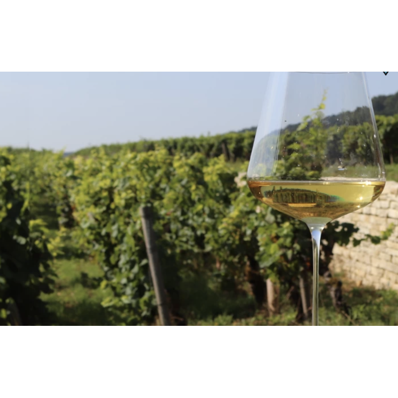 AOP Bourgogne Chardonnay 2024 Maison Joliet