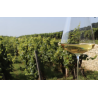 AOP Bourgogne Chardonnay 2024 Maison Joliet