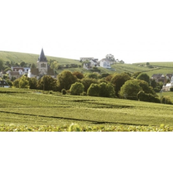 AOP Champagne De La Chapelle Brut Audace