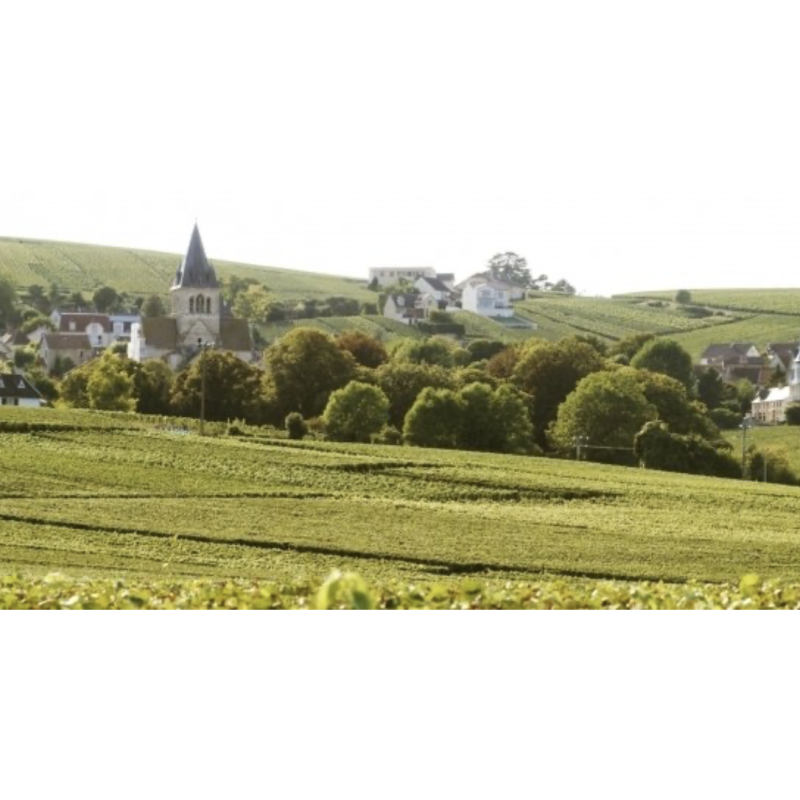 AOP Champagne De La Chapelle Brut Audace