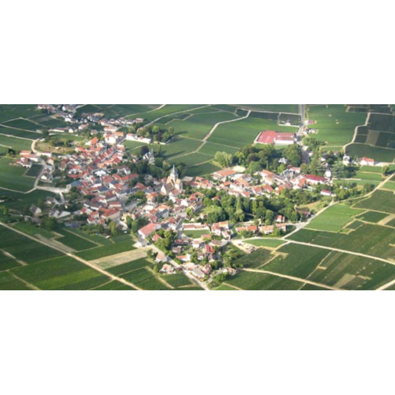 AOP Champagne De La Chapelle Eclat Blanc de Blanc extra brut