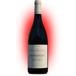 AOC Bourgogne rouge Pinot noir 2018