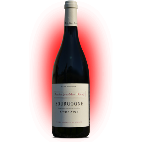 AOC Bourgogne rouge Pinot noir 2018