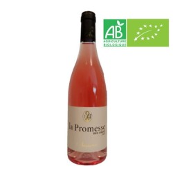 Nos produits La Promesse des Anges rosé 2020 I The Place to Wine