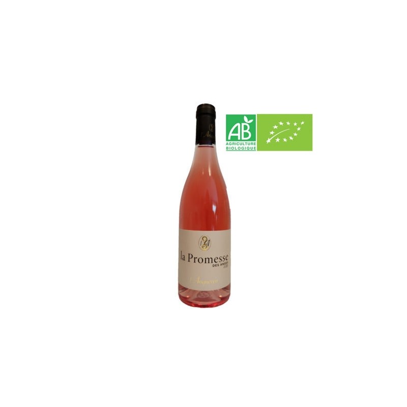 https://www.theplacetowine.com/499-large_default/la-promesse-des-anges-rose-2020.jpg