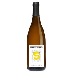 IGP Cotes du Tarn Blanc Sauvignon 2019