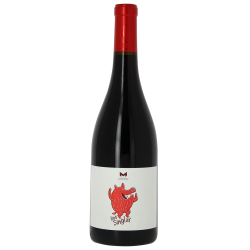 VDF Bob Singlar rouge 2020