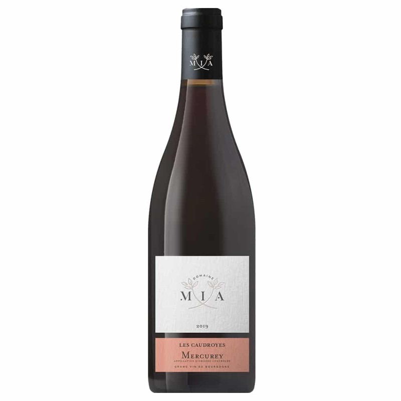 AOC Mercurey rouge 2019 Les Caudroyes