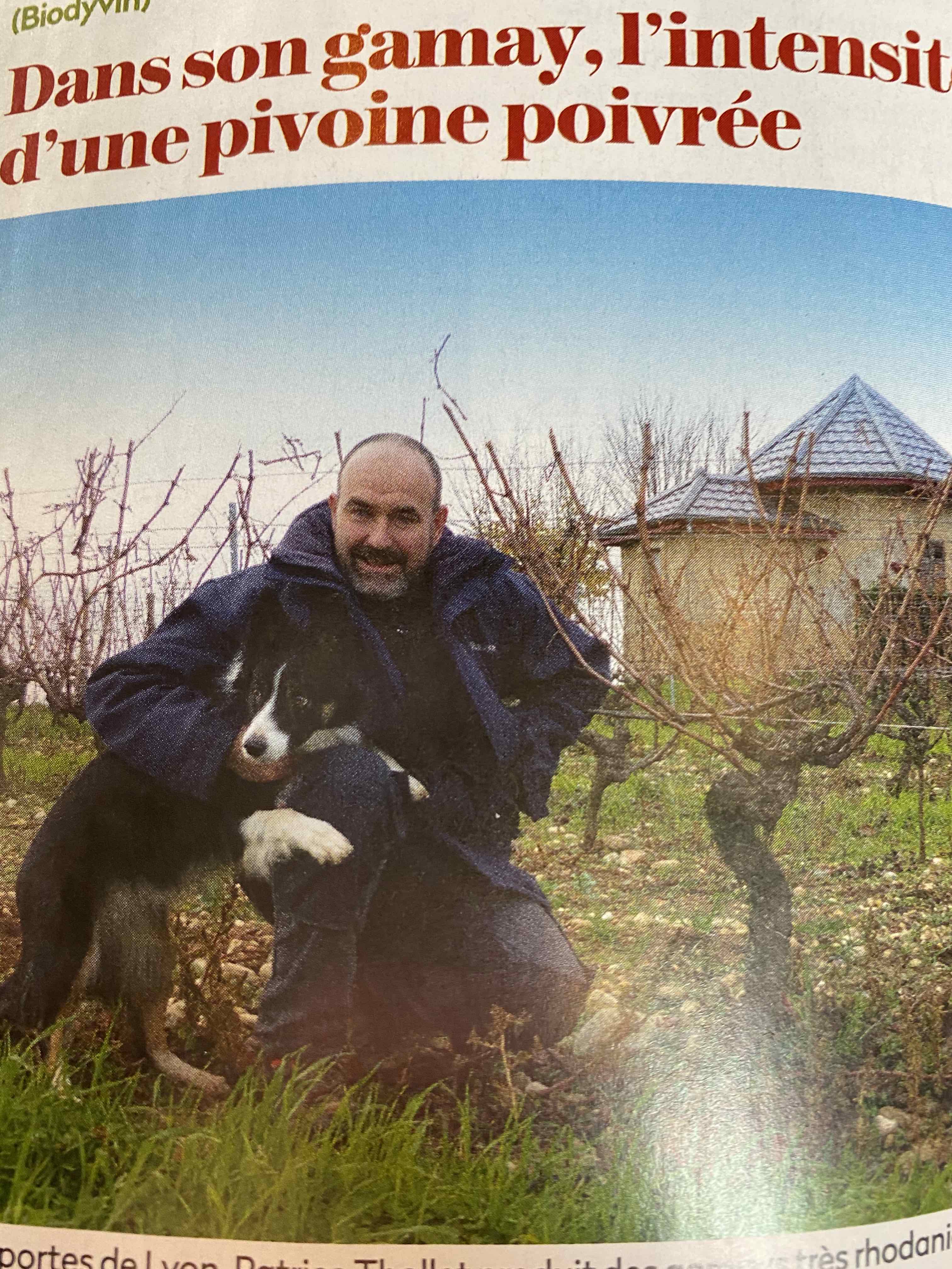 Nos artisans vignerons en biodynamie mis à l'honneur